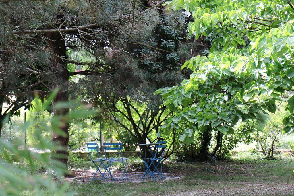 Chez Pierrot Et Gisele Villa Meschers-sur-Gironde Room photo